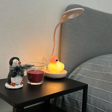 Appartement Au Coeur Strasburgo Esterno foto