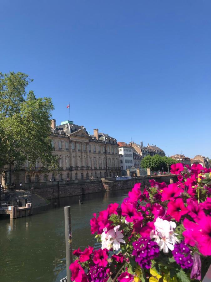 Appartement Au Coeur Strasburgo Esterno foto
